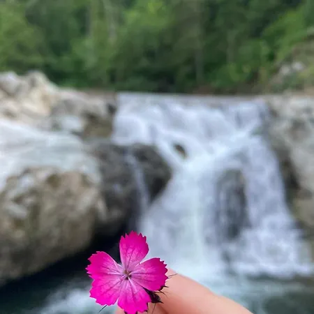 Vikendice Menzil Zavidovici