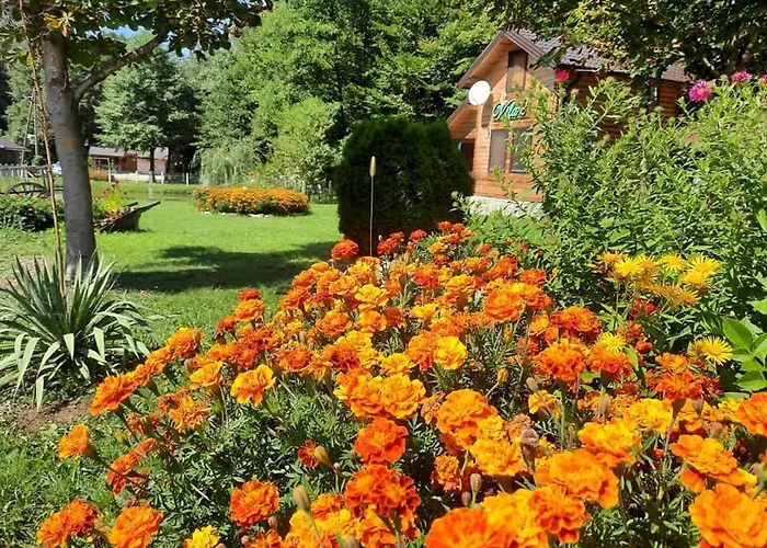 Vikendice Menzil * Zavidovici