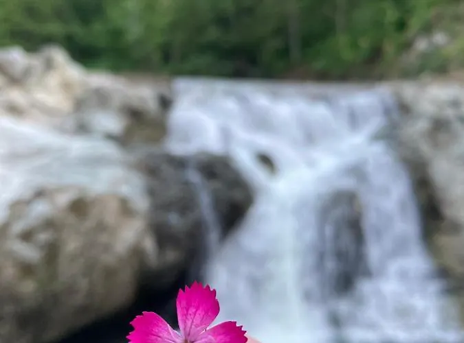 Vikendice Menzil Zavidovici