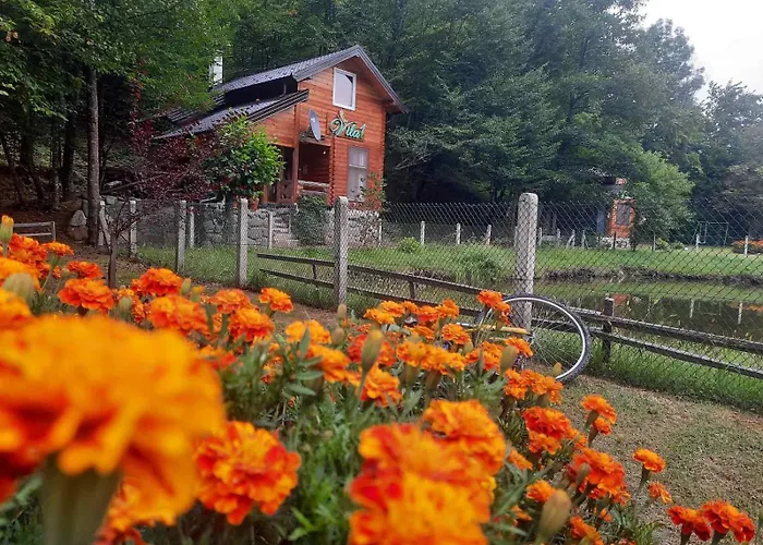 Vikendice Menzil Daire